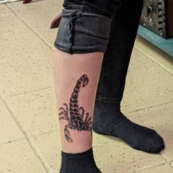 Hydra Electric Tattoo
