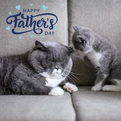 Animal Care Clinic: Obrien Edward DVM