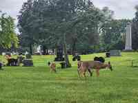 Woodlawn Memorial Park