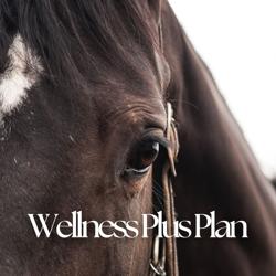 Premier Equine Veterinary Service, LLC