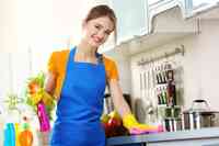 European Maids & Carpet Cleaning Service, Inc.