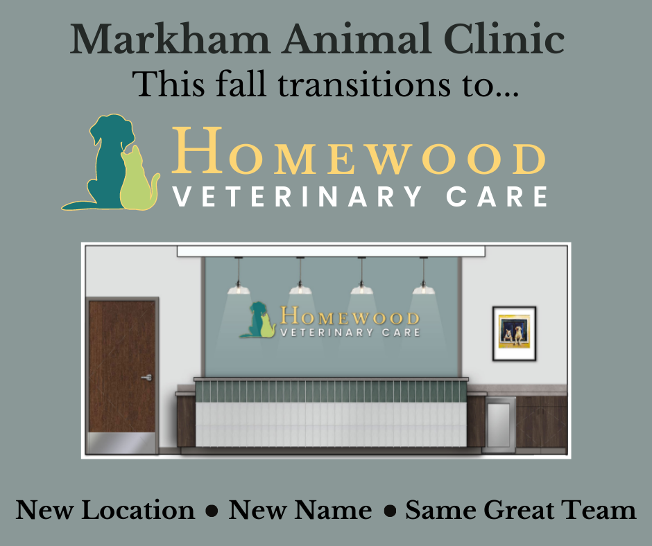 Markham Animal Clinic Ltd: Bearden Brandy L DVM 3451 W 159th St, Markham Illinois 60428