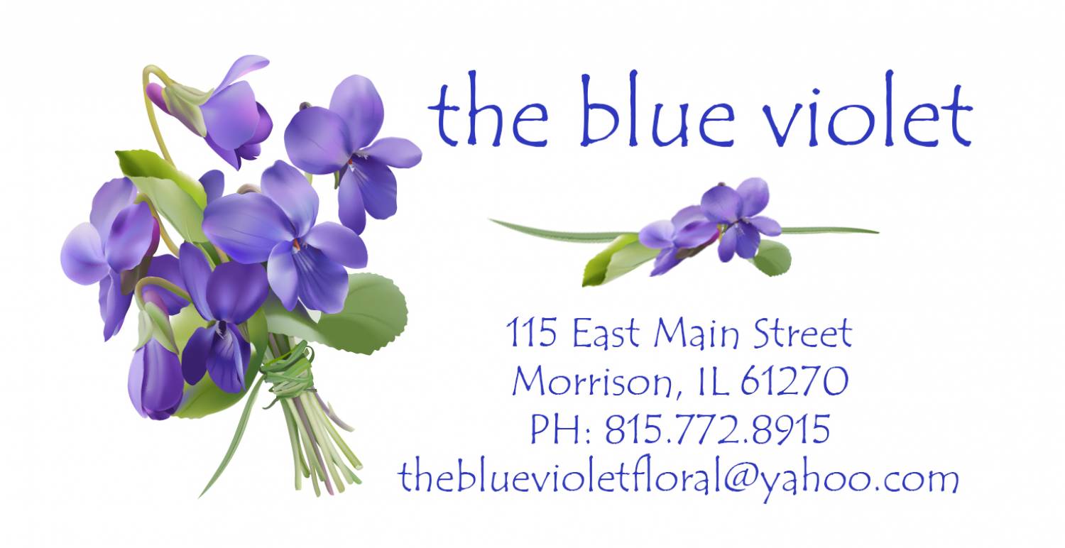 The Blue Violet 115 E Main St, Morrison Illinois 61270