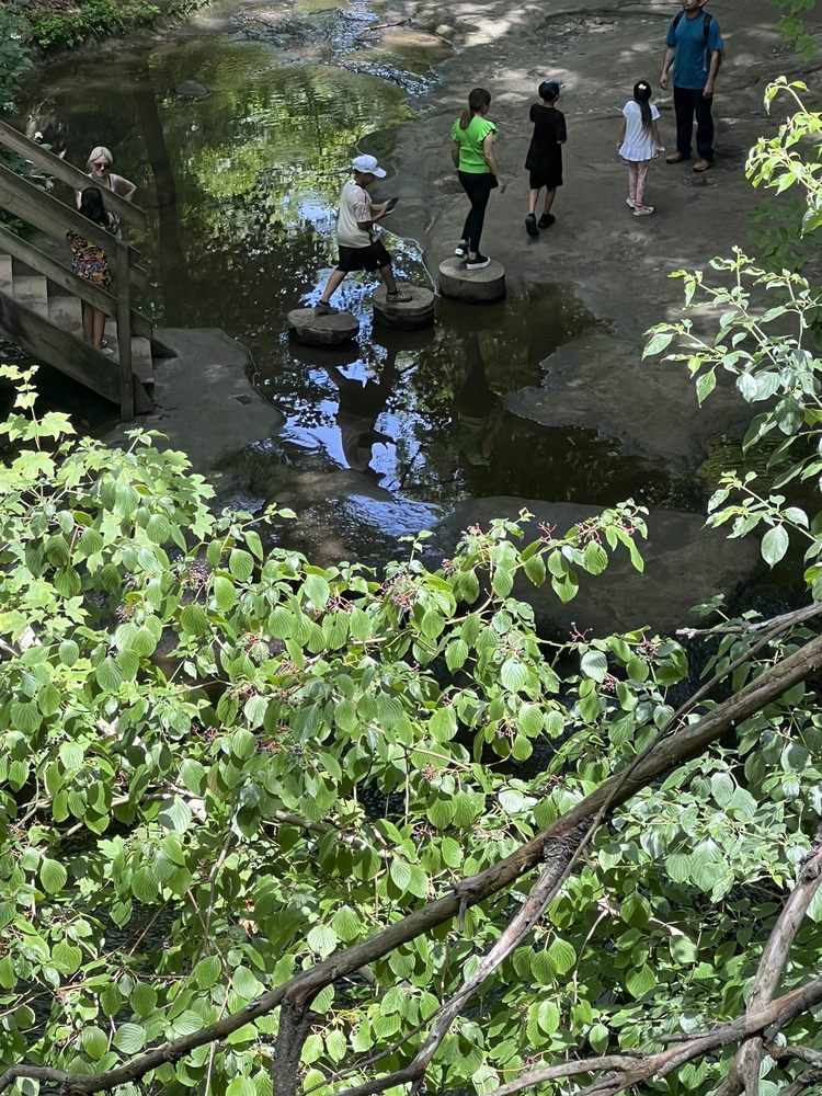 Matthiessen State Park Oglesby