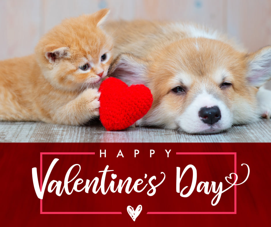 Rochelle Veterinary Hospital: Malaker Eric L DVM Rochelle