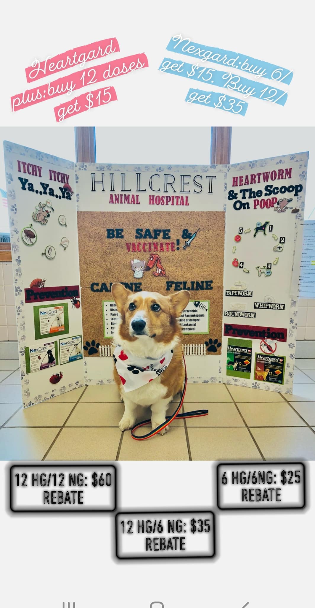 Alexandria Mercer, DVM Rockford