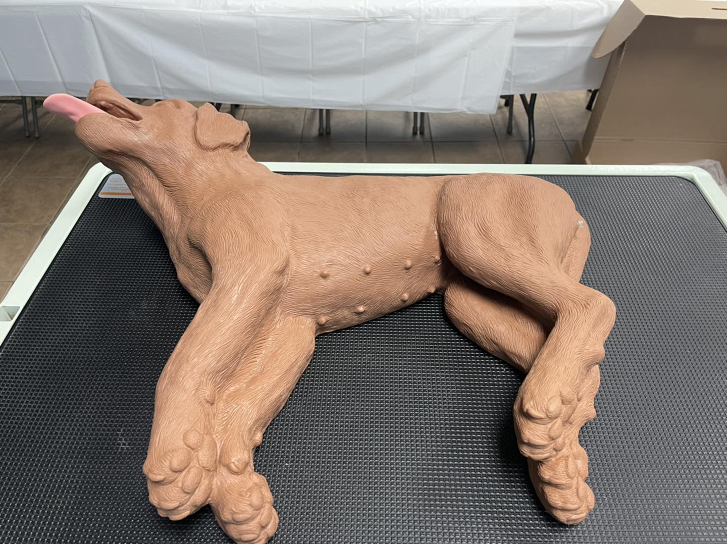 Pet-A-Groom Springfield