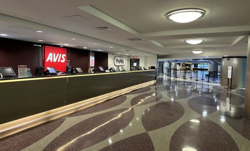 Avis Car Rental