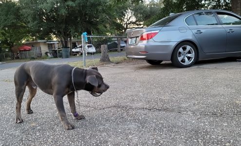 United States Postal Service