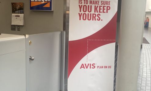 Avis Car Rental