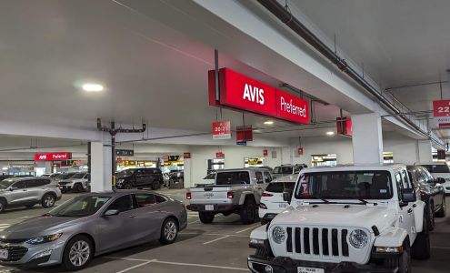 Avis Car Rental