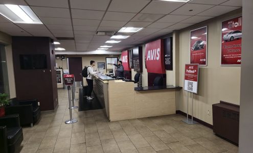Avis Car Rental