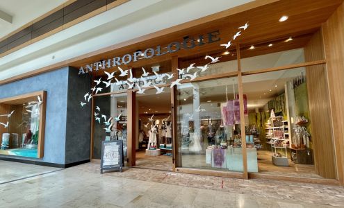 Anthropologie