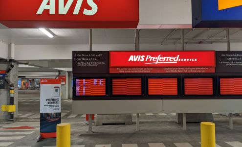 Avis Car Rental