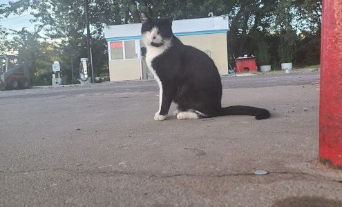 Conoco South Brunswick