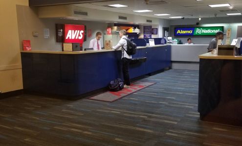 Avis Car Rental