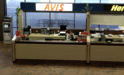 Avis Car Rental