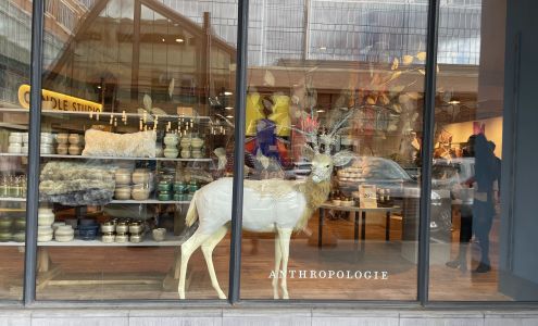 Anthropologie