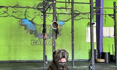 Crossfit Gamma