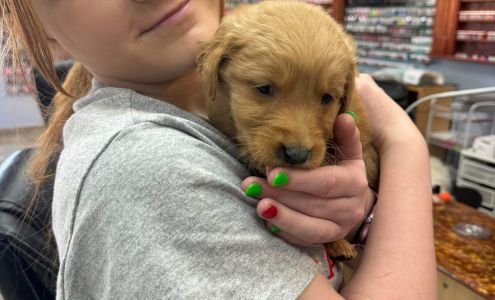 Happy Nails Bar Millington