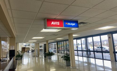 Avis Car Rental