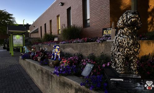 United States Postal Service