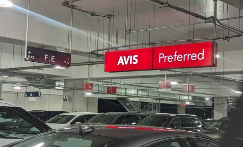 Avis Car Rental