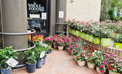 Whole Foods Market