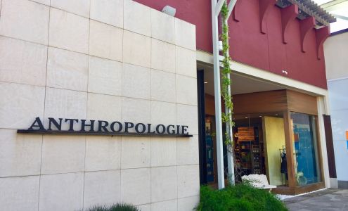 Anthropologie