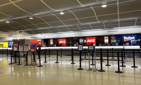 Avis Car Rental