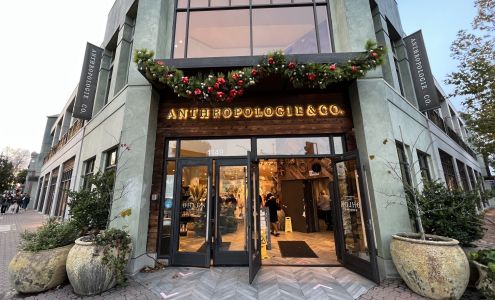Anthropologie