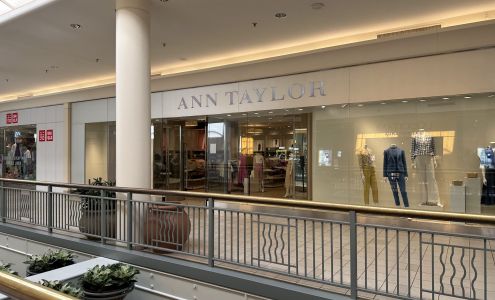 Ann Taylor