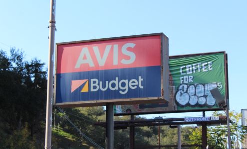 Avis Car Rental