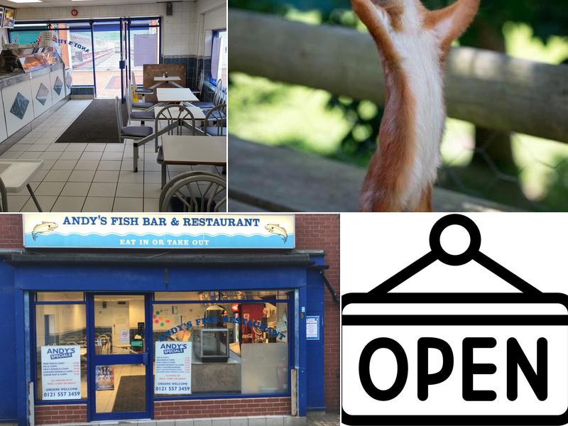 Andys Fish and chip Restaurant