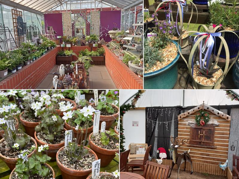 Ashwood Nurseries Ltd