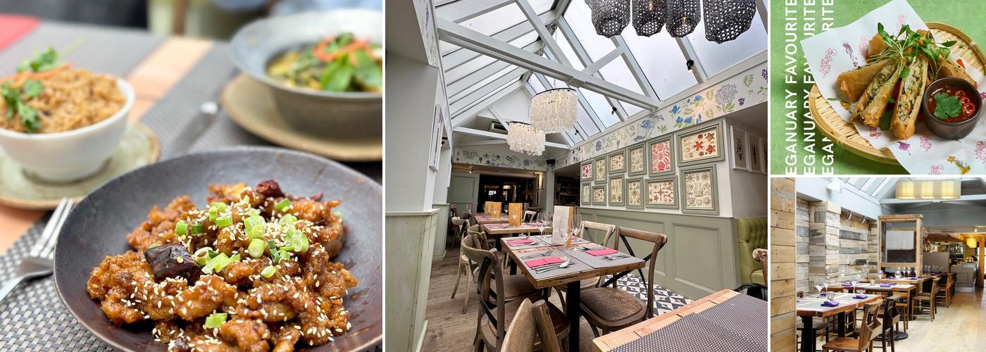 Giggling Squid - Henley