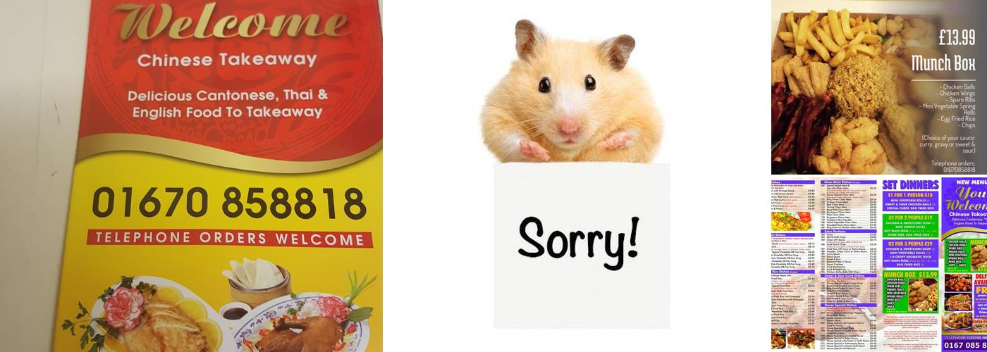 You Welcome Chinese Menu