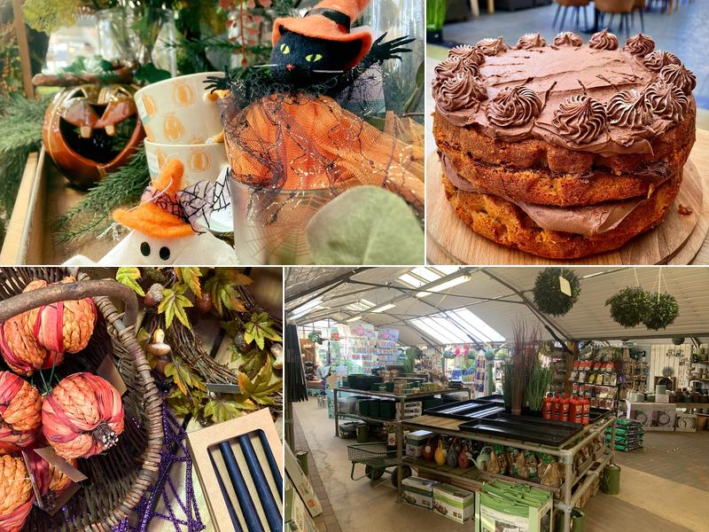 The Langton Greenhouse and Garden Centre