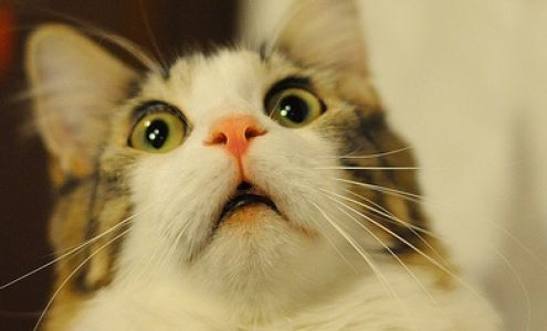 United States Postal Service