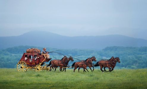 Wells Fargo Advisors