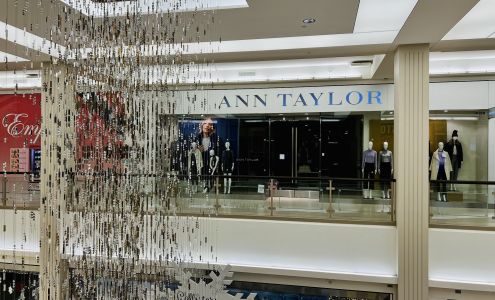 Ann Taylor