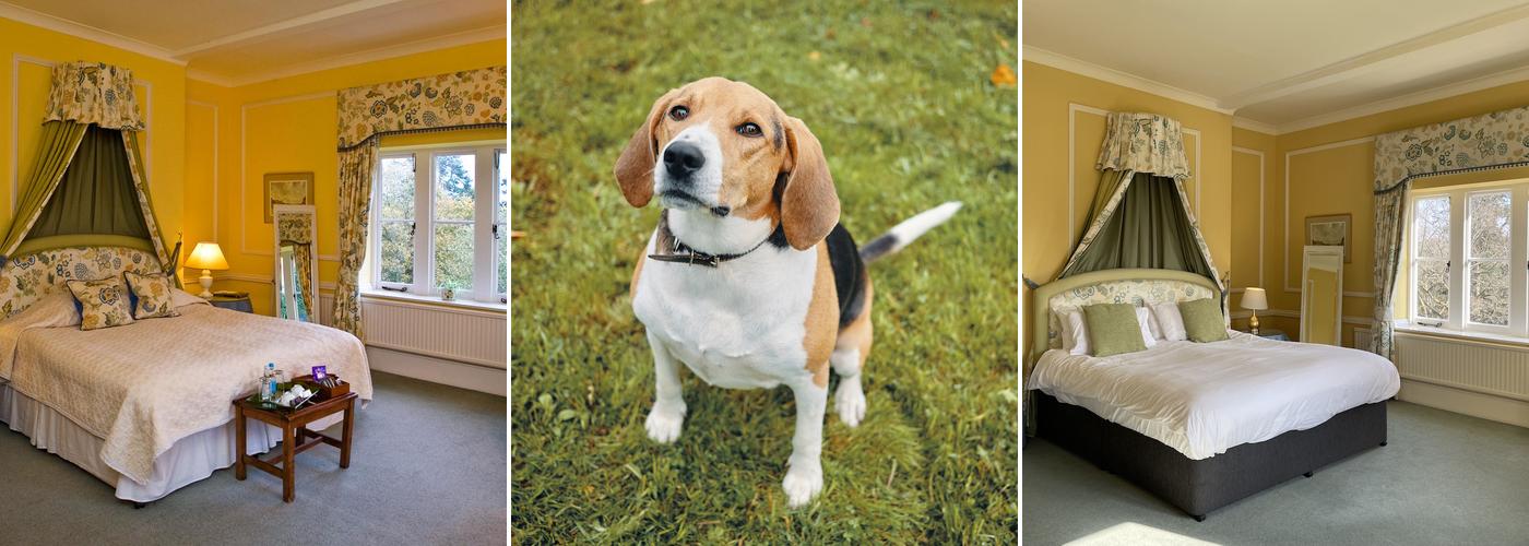 Langrish House B & B Menu