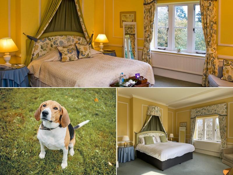 Langrish House B & B Menu