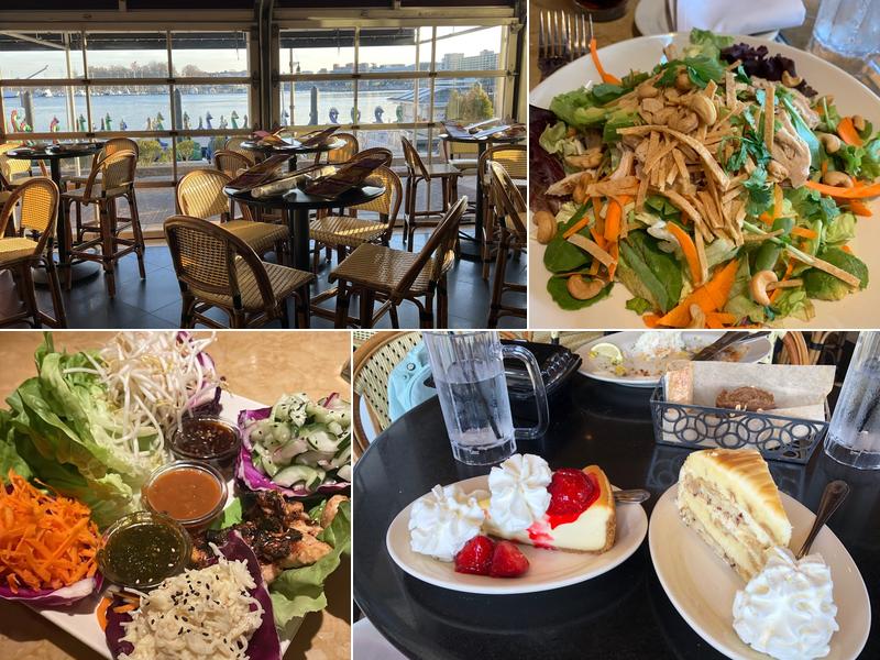 The Cheesecake Factory