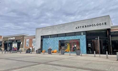 Anthropologie