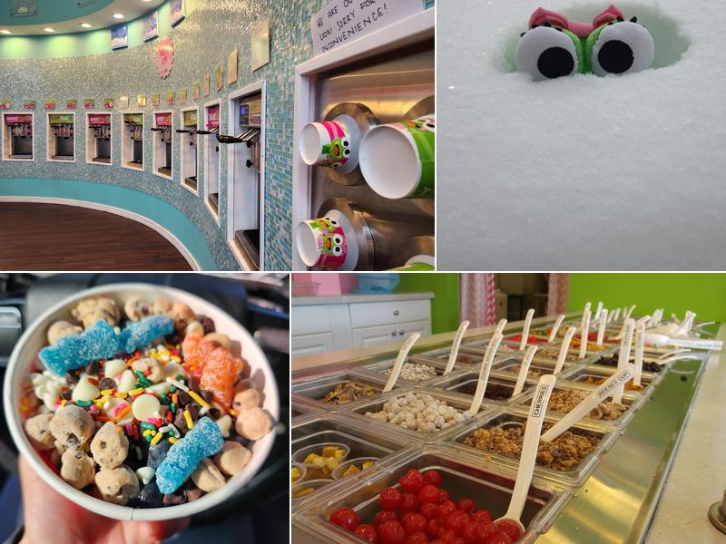 SweetFrog 1899 Ocean St R, Marshfield