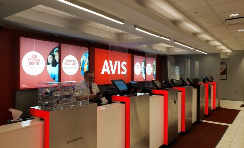 Avis Car Rental