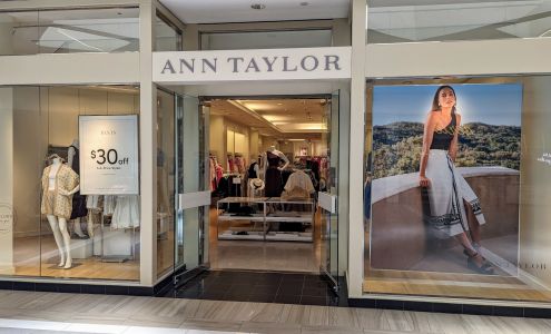 Ann Taylor