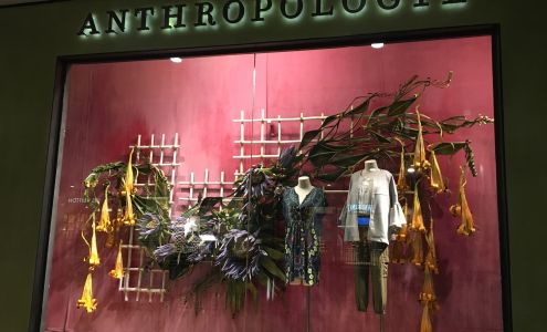 Anthropologie