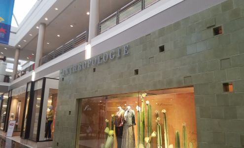 Anthropologie